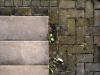 Concrete.