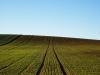 Linien.